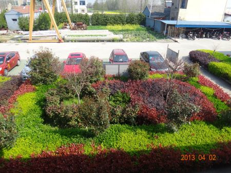 ��̩�ϳ�һ��